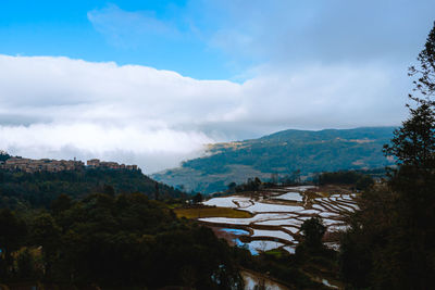 High angle view of trees and plants against sky