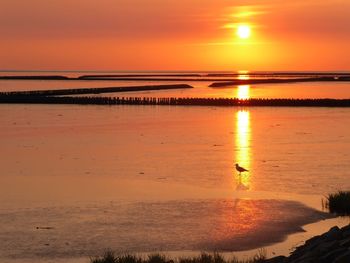 Scenic view of sea against orange sky