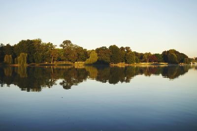 Reflection of trees in calm lake