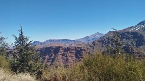 Scenic view of landscape against clear blue sky