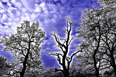 Low angle view of bare tree against cloudy sky