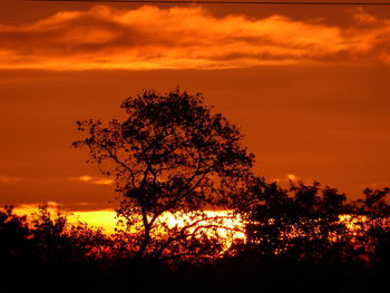 Silhouette trees on field against romantic sky at sunset