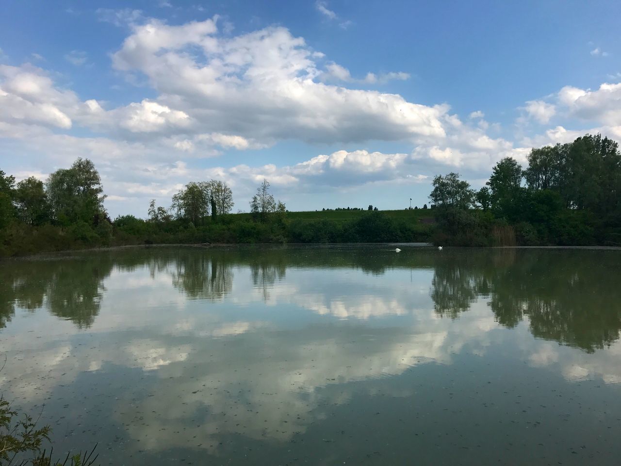 reflection, sky, water, tree, cloud - sky, nature, lake, outdoors, reflection lake, no people, backgrounds, landscape, day