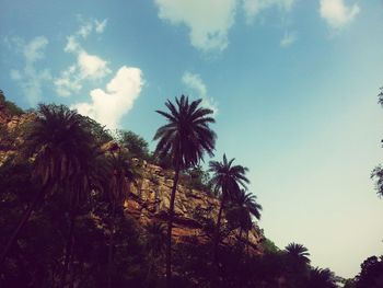 Low angle view of palm trees against blue sky