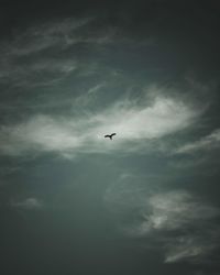 Low angle view of silhouette bird flying against sky