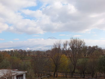 Bare trees on landscape against sky