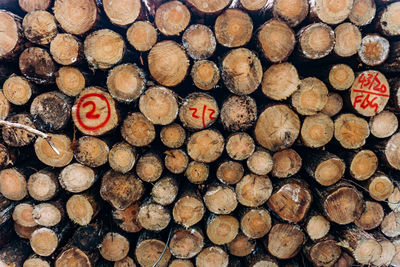 Full frame shot of logs