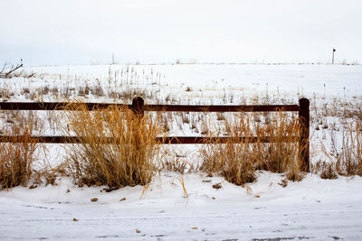 Snow covered land on field during winter