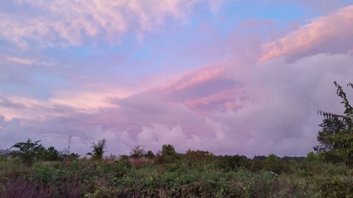 Scenic view of field against cloudy sky