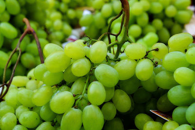 Close-up of grapes for sale at market stall