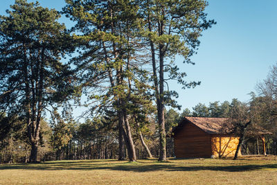 Trees and houses on field against sky. a shack in the woods 