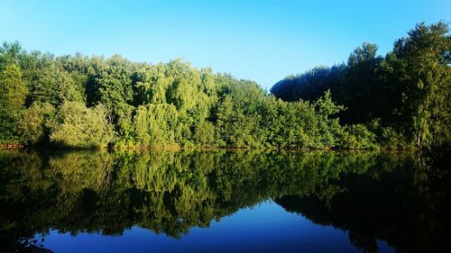 Scenic view of lake in forest against clear sky