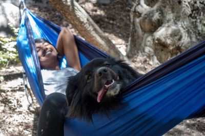Woman with dog relaxing in hammock