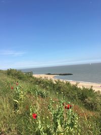 Scenic view of sea against clear blue sky