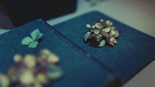 Close-up of floral art on paper at table