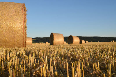 Hay bales on field against clear sky