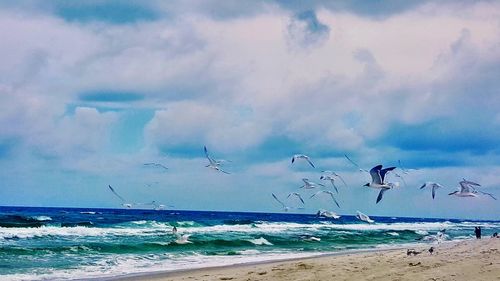 Birds flying over beach against sky