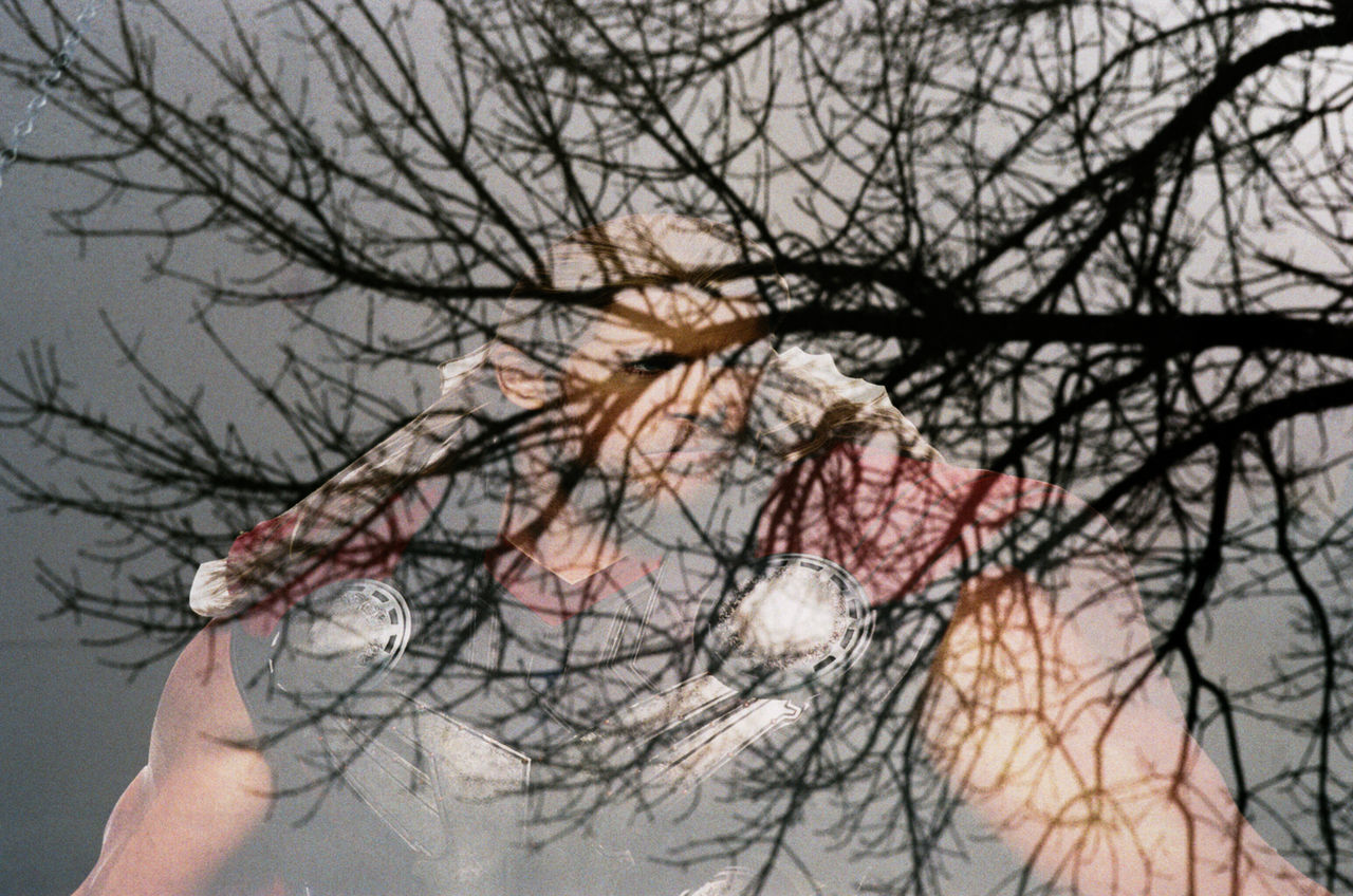 CLOSE-UP OF BARE TREE AGAINST SKY