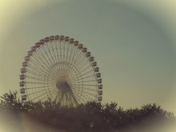 ferris wheel