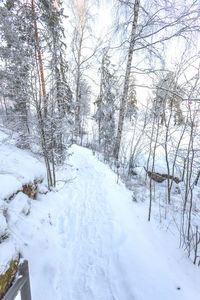 snow