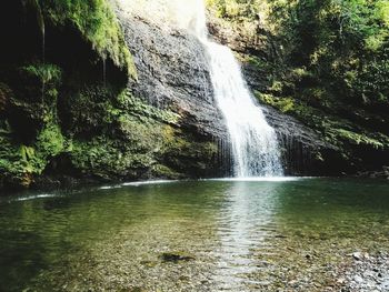 Scenic view of waterfall in forest