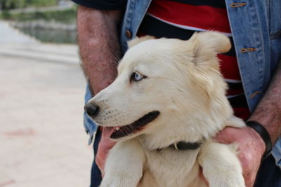 Midsection of man with dog