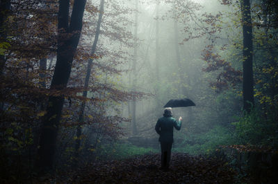 Rear view of man with umbrella in forest during autumn