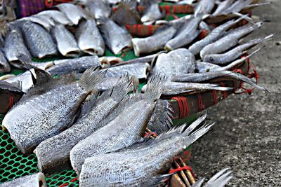 High angle view of fish on market stall