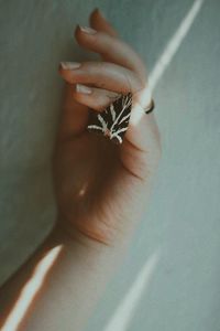 Close-up of hand holding flower