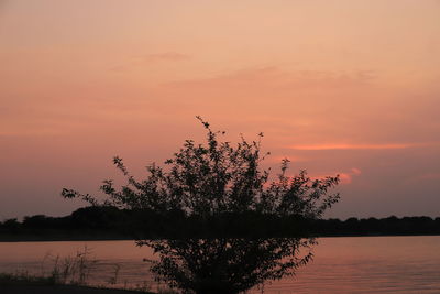 Silhouette tree by lake against romantic sky at sunset