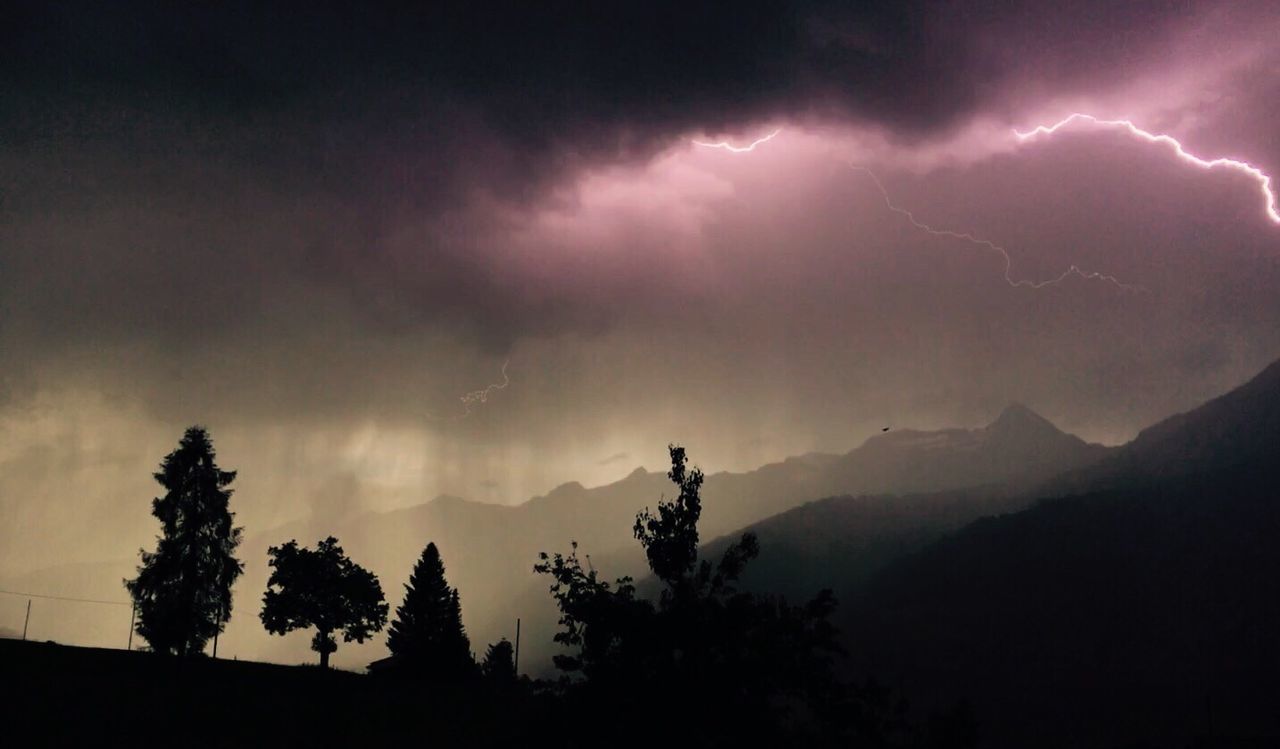 SCENIC VIEW OF SILHOUETTE TREES AGAINST STORM CLOUDS