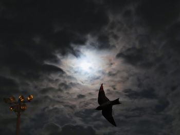 Low angle view of silhouette bird flying against sky at sunset