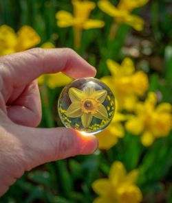 Close-up of hand holding crystal ball over yellow flower