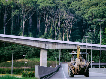 View of concrete road bridge against tropical forest background
