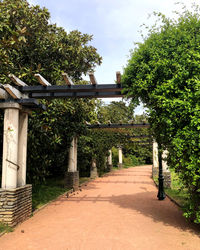 Footpath amidst trees against sky