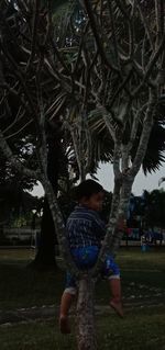 Woman standing by tree on field