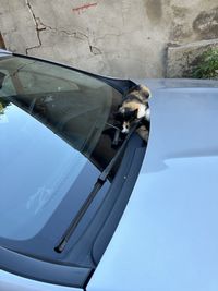 automotive exterior