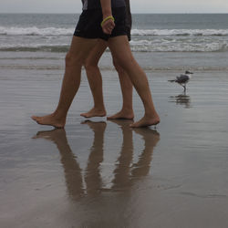 Low section of friends walking at beach