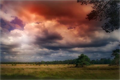 Scenic view of field against sky during sunset