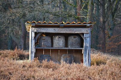 Abandoned built structure in forest