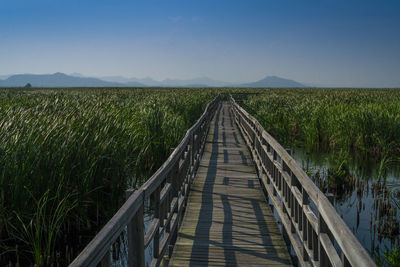 View of boardwalk on field against sky