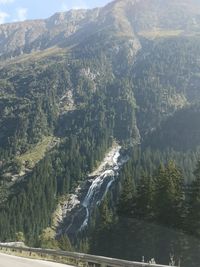 High angle view of waterfall in forest