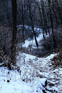 winter
