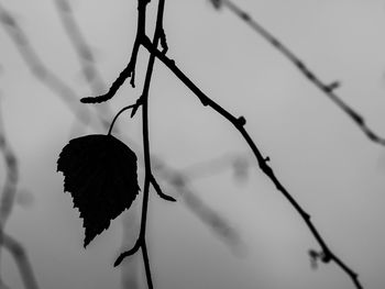 Close-up of water against sky