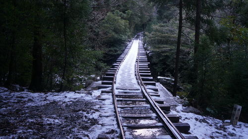 Railroad tracks amidst trees in forest