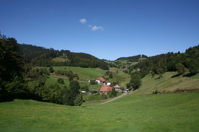 Scenic view of trees growing on field against sky