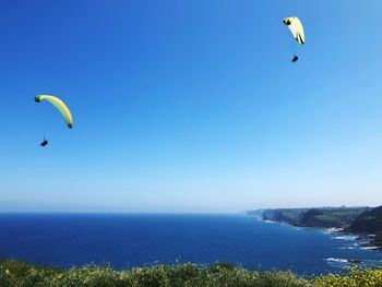 People paragliding over sea against sky