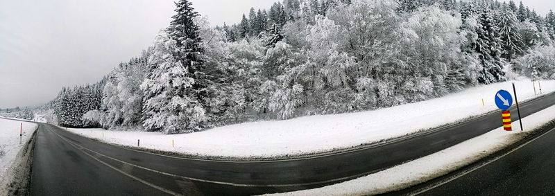 Snow covered trees