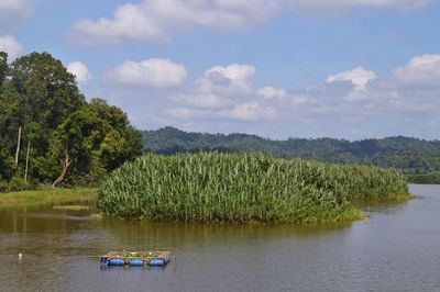 Scenic view of tasik chini, pahang, malaysia