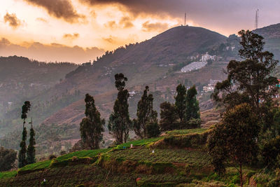 Scenic view of landscape against sky during sunset